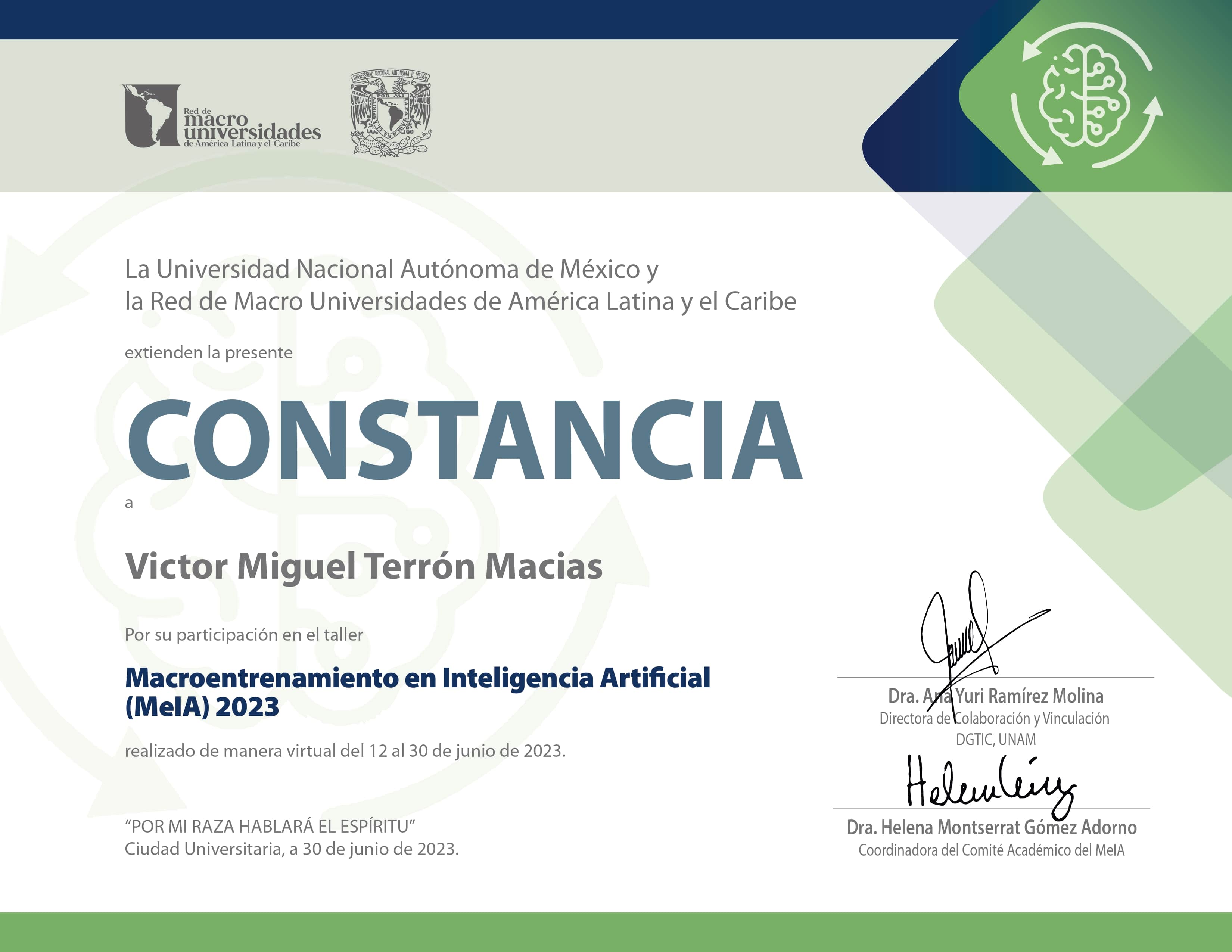 Recién llegado vs 5 años en Nueva Zelanda