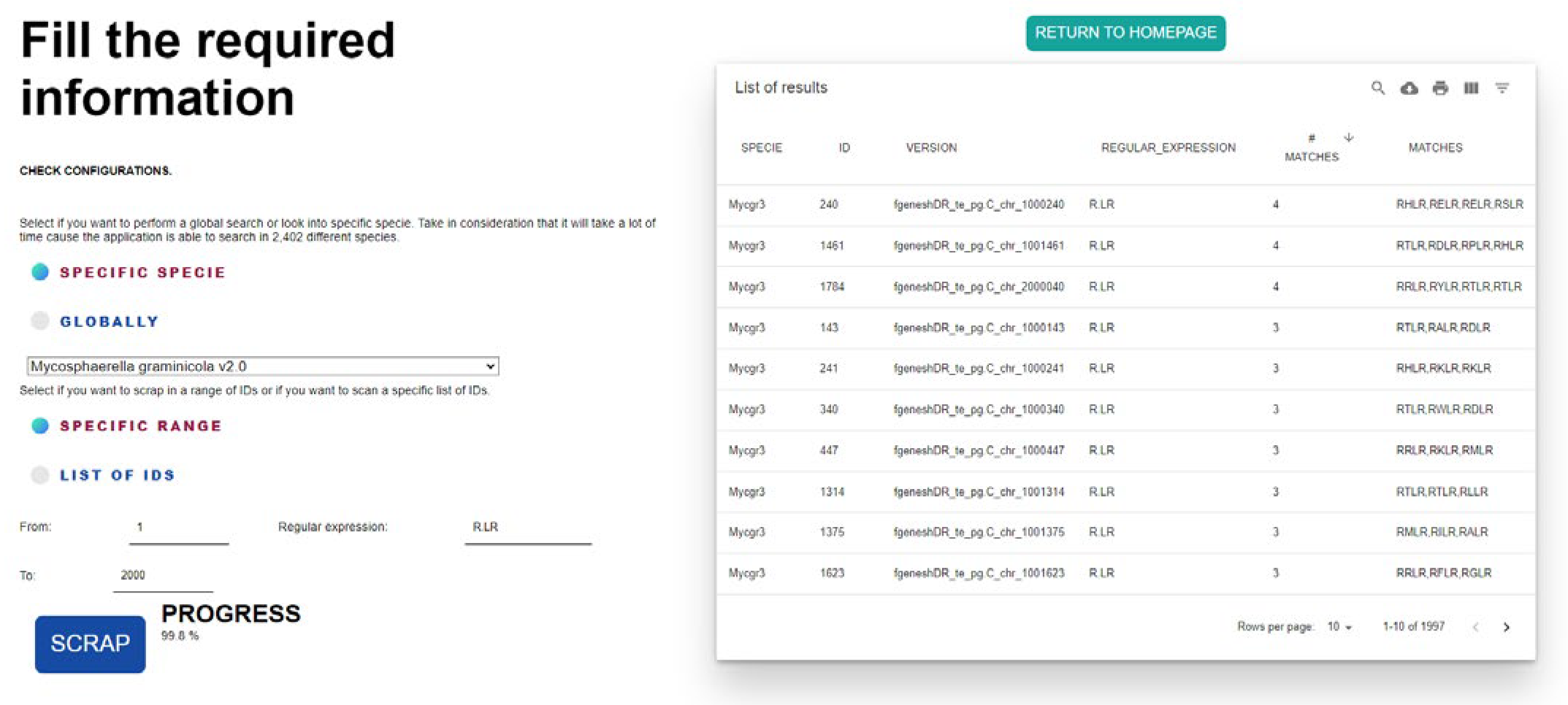 Recién llegado vs 5 años en Nueva Zelanda